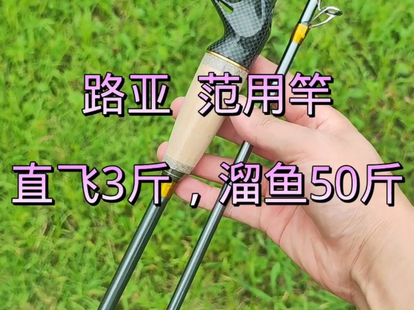 路亚竿挂浮鱼(路亚竿怎么挂漂)