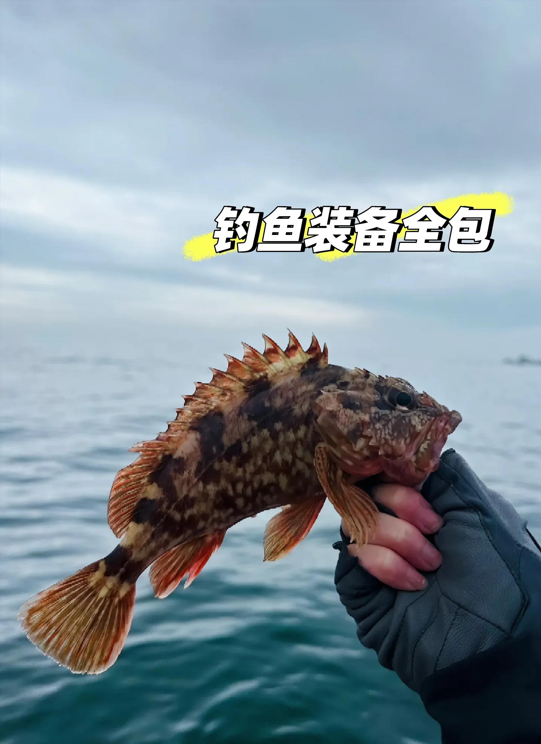 日照海钓黑头(日照海鱼大全识图)