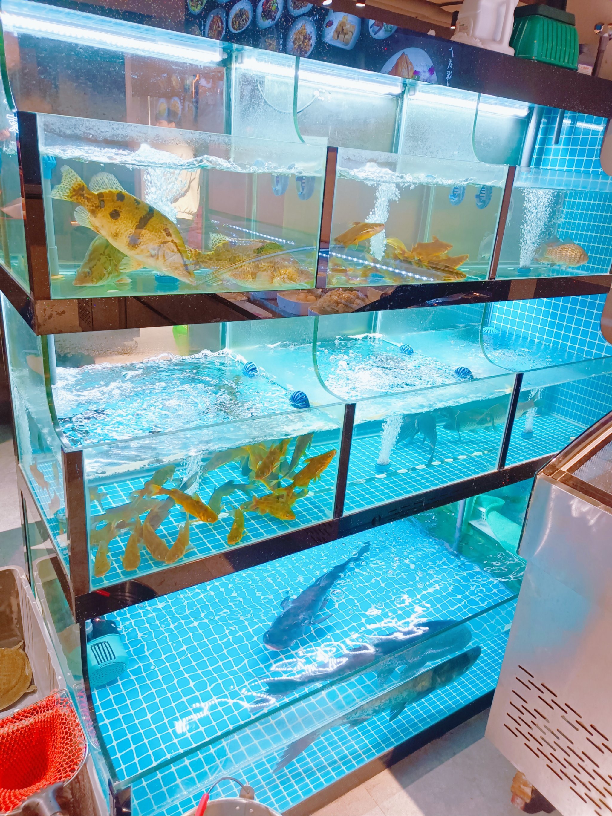 砖桥渔具店(附近最近渔具店)
