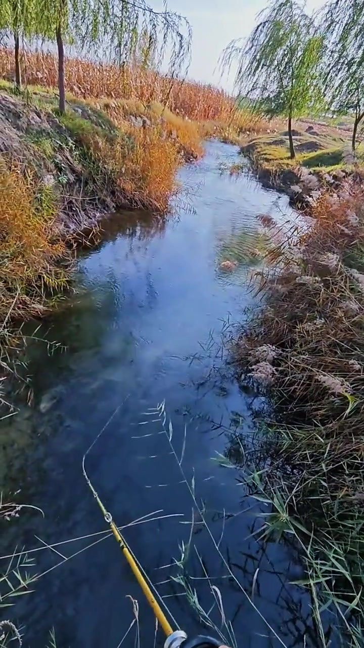 路亚风景区(路亚钓点攻略)