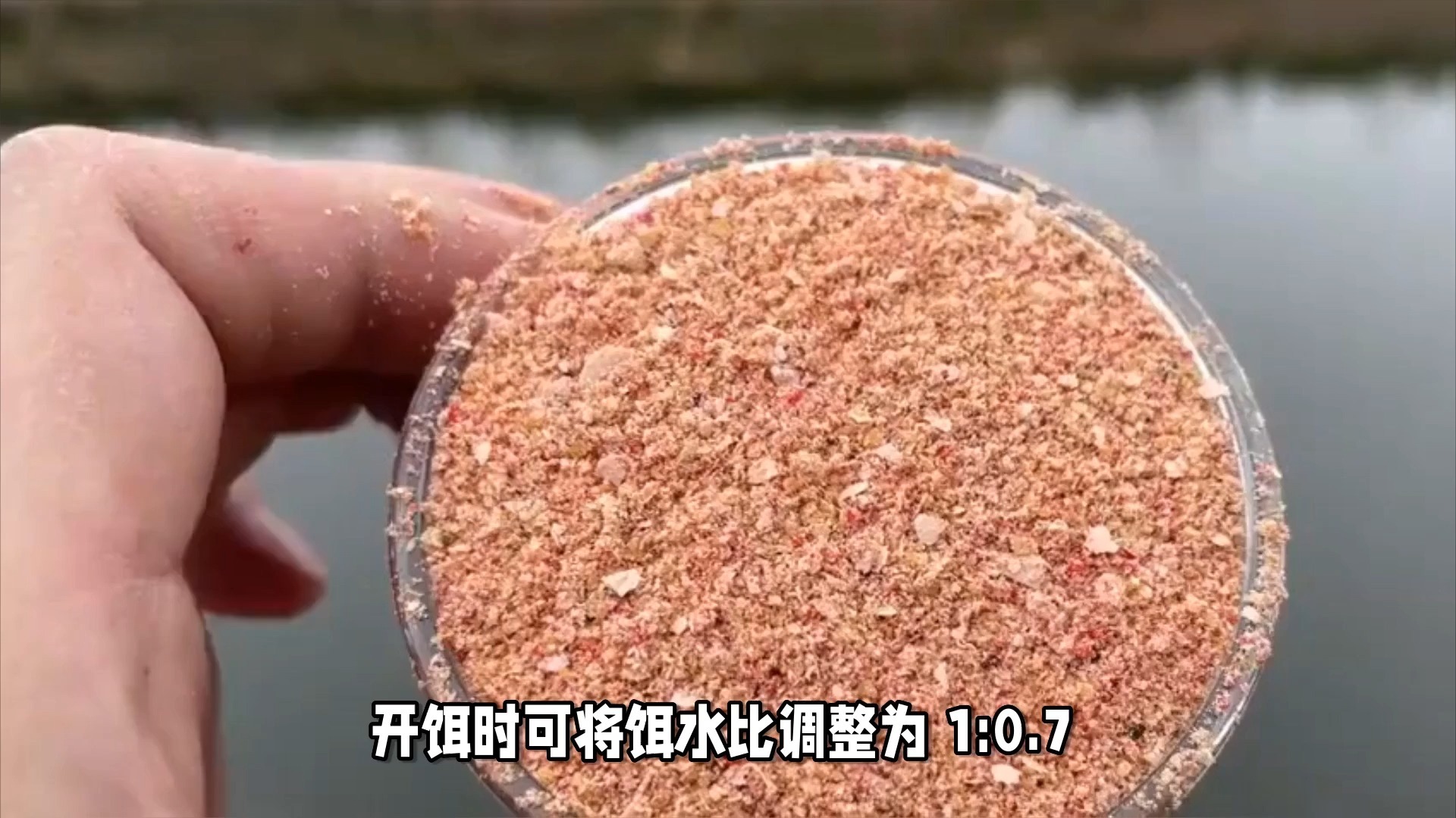 黄金面开饵料(黄金面饵料配什么好)