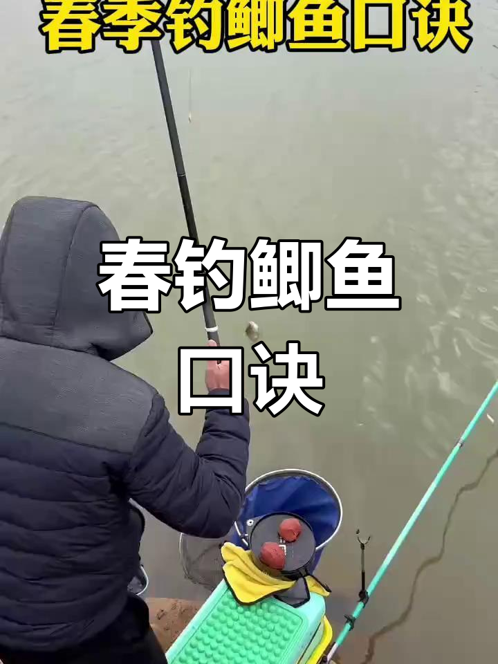 仲春雨天钓鲫鱼技巧(仲春小雨天钓鲫鱼钓位选择)