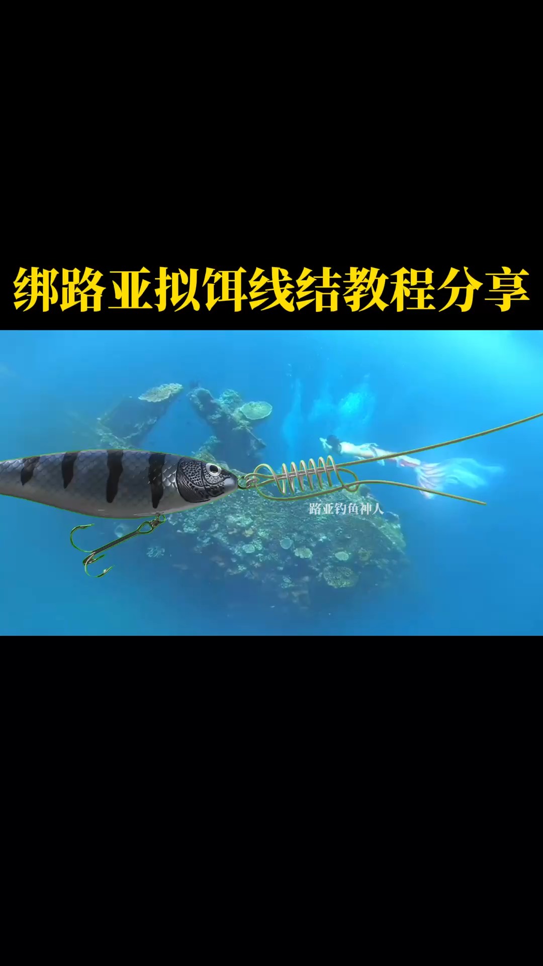 路亚前假饵怎么绑(路亚假饵前导线如何连接主线)