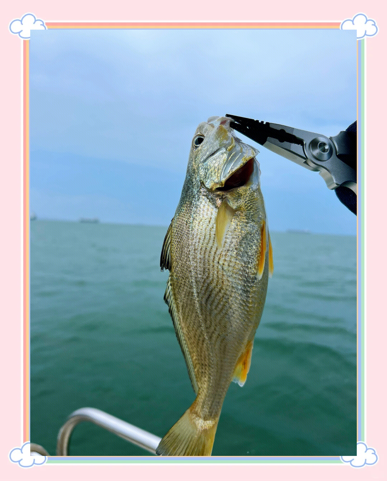 海钓什么季节最多(海钓什么季节最多鱼)