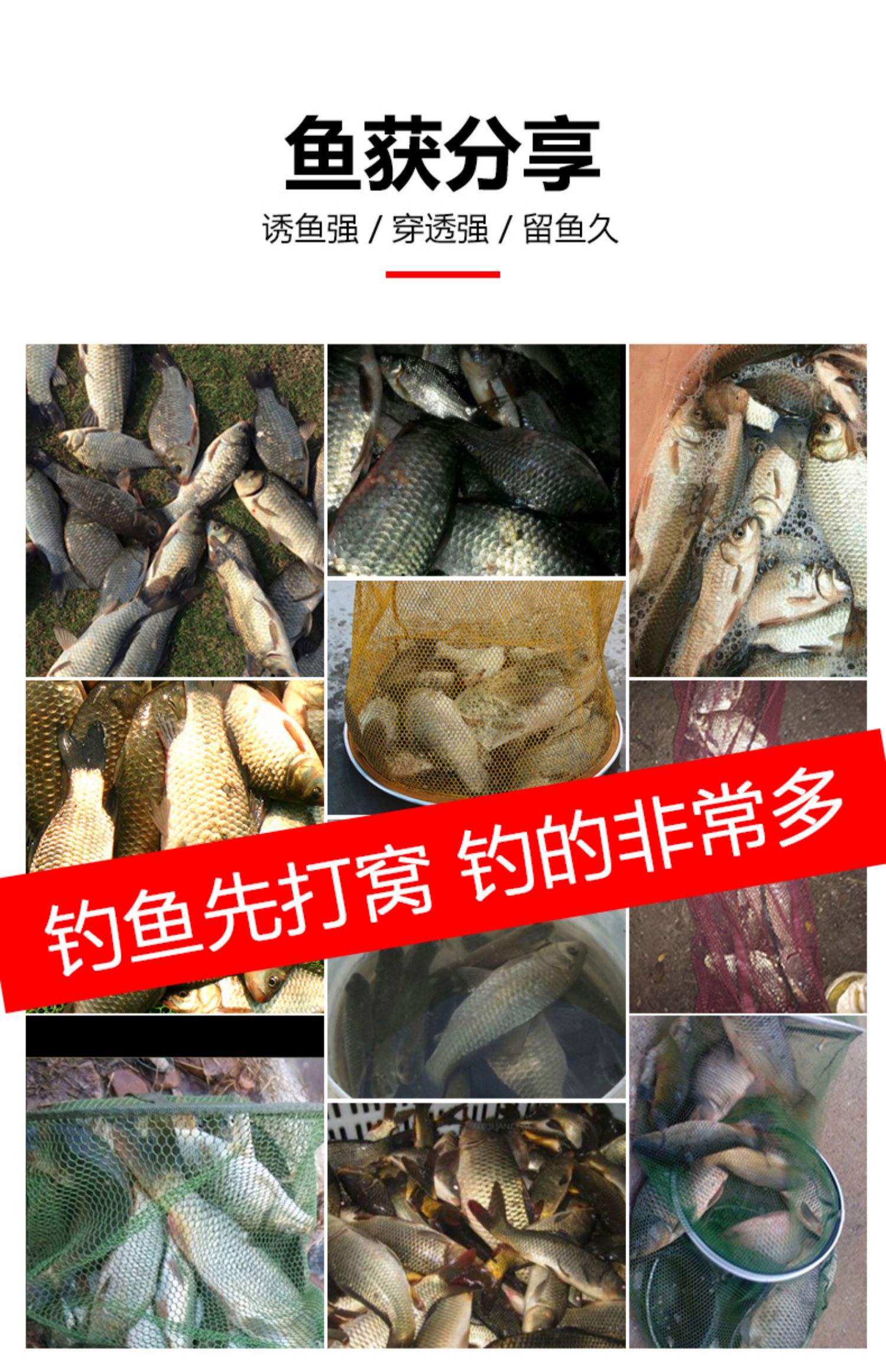 酒味饵料搭配技巧(酒味饵料适合什么季节钓鱼?)