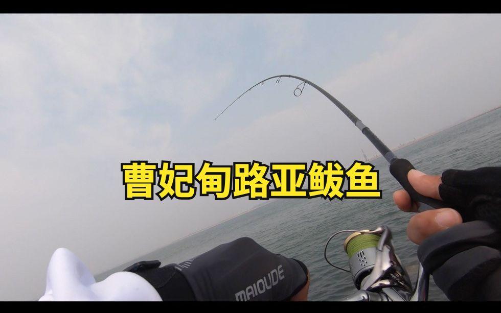 2018曹妃甸路亚(路亚小哥钓鱼街边水坑)