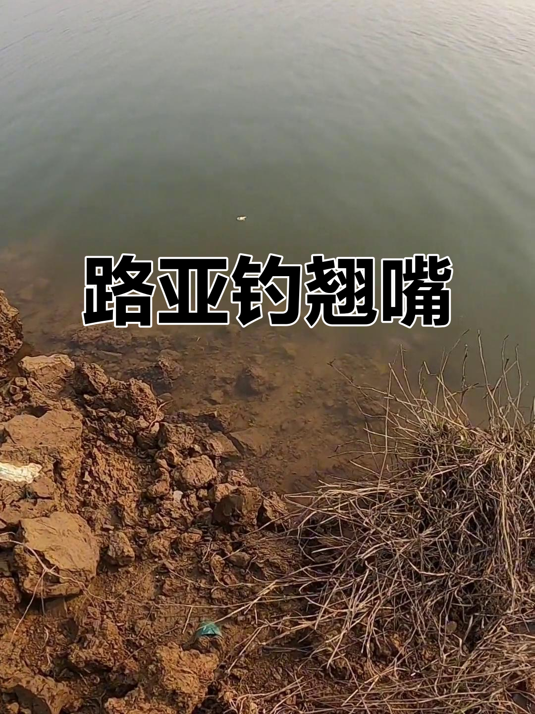 西沙路亚(西沙旅游详细攻略)