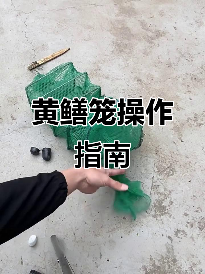 饵料装法(怎么用饵料)