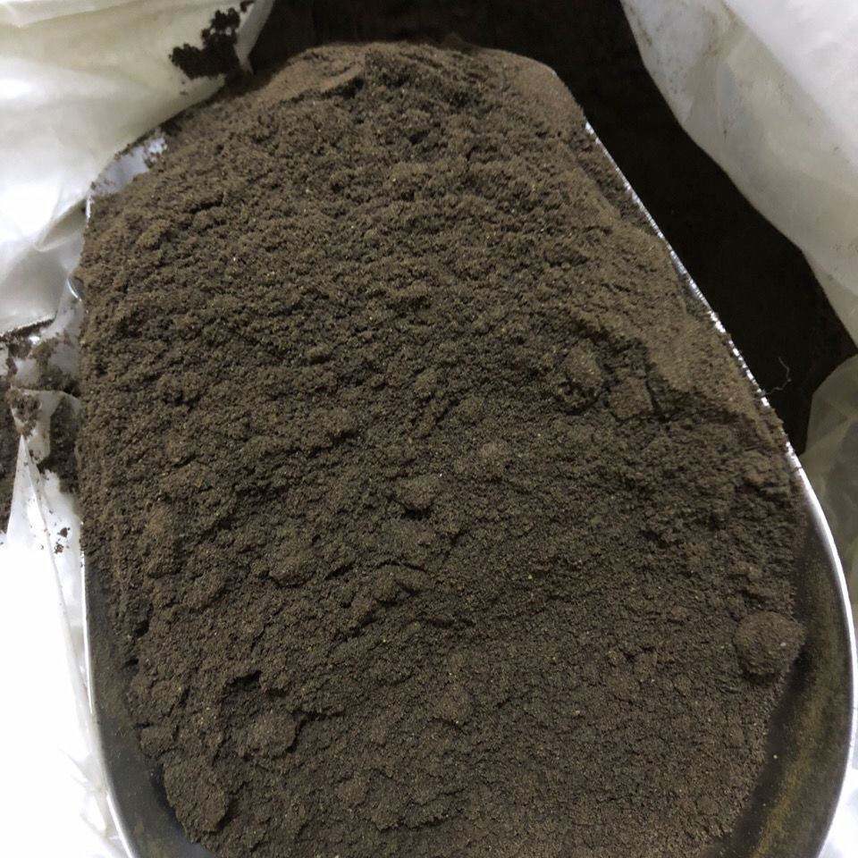 中华寻鱼饵料(中华寻鱼怎么处理)
