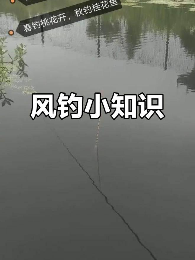 风大钓鱼技巧的视频(大风钓鱼钓什么位置)