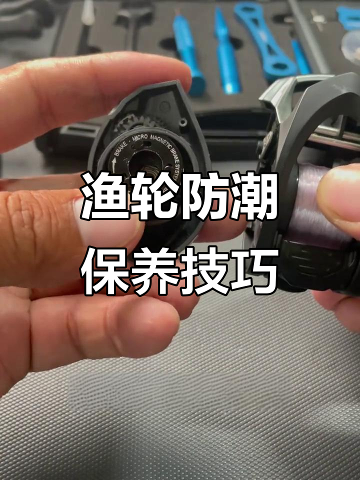 鱼轮使用技巧(鱼轮怎么装配)
