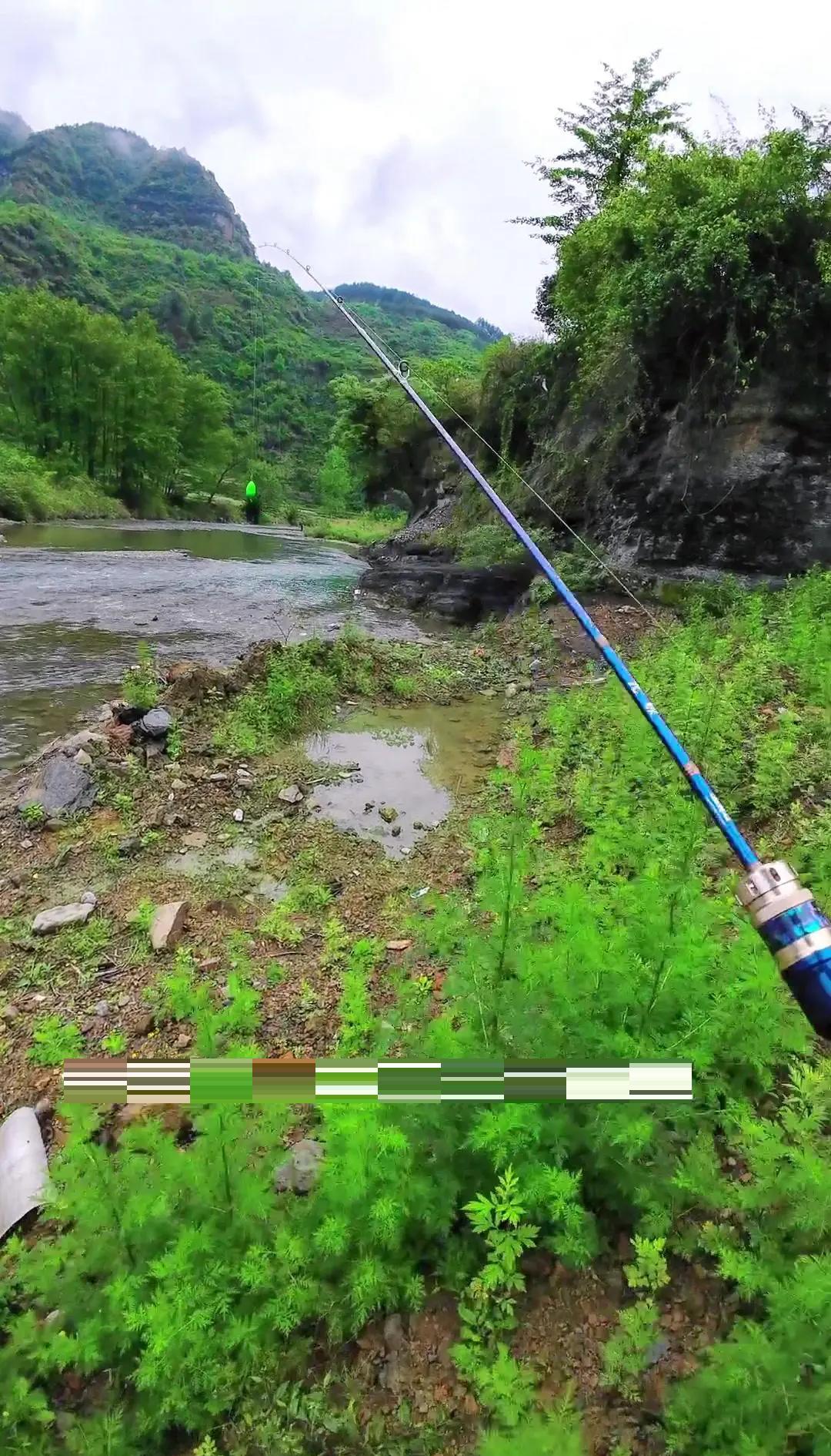 钓鱼上鱼技巧(钓鱼上鱼技巧和方法)