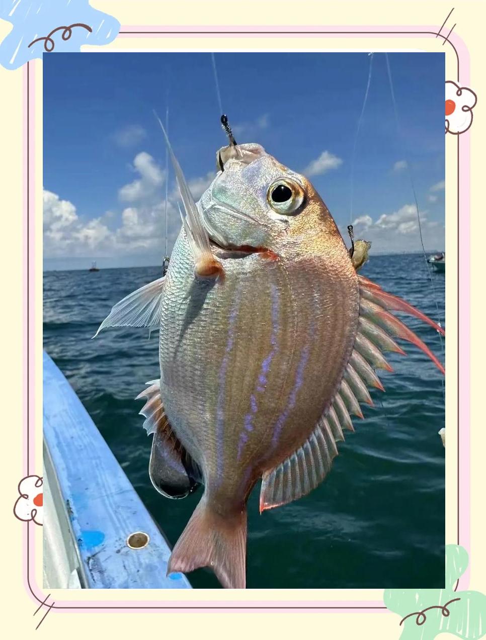 北海海钓地点(北海海边哪有鱼钓)