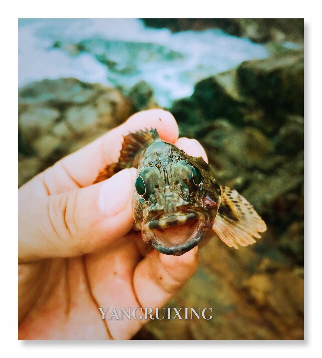 海钓短文(海钓新手必看十大技巧)