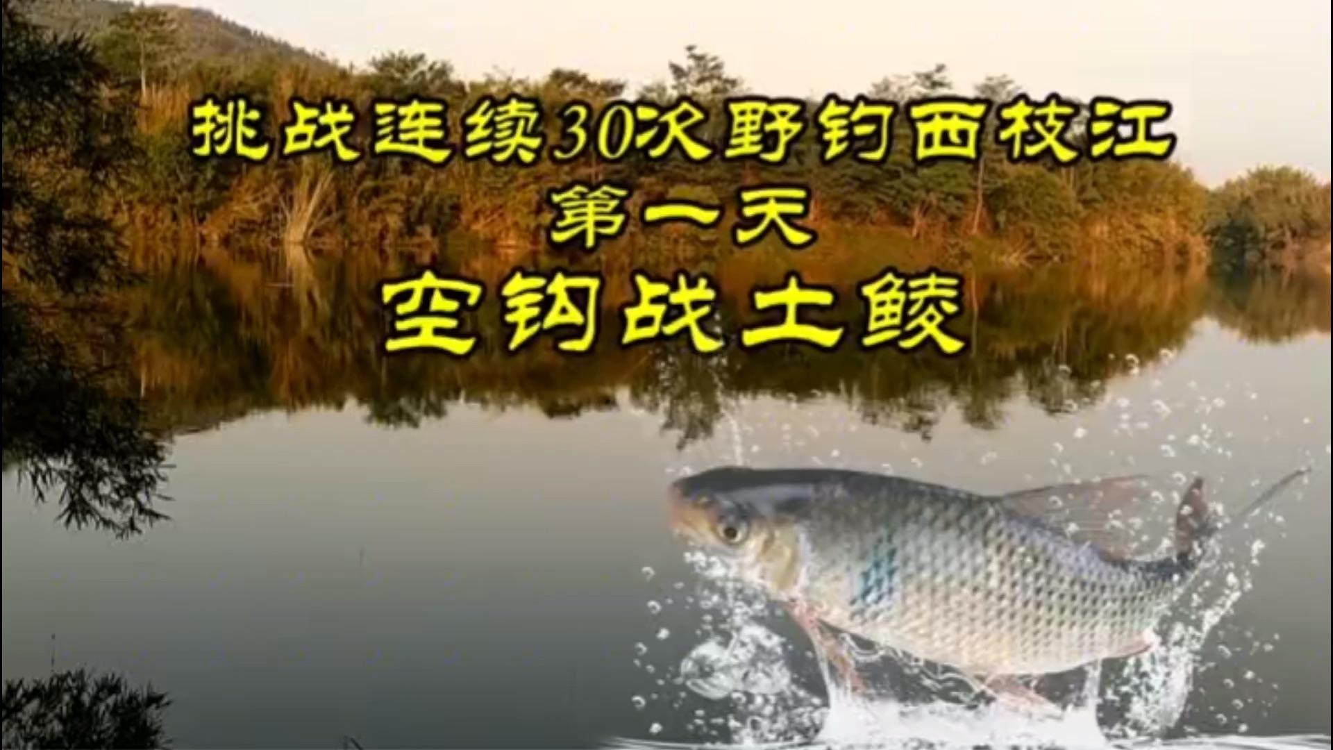 长江枝江段钓鱼技巧(长江禁止捕鱼十年日期)