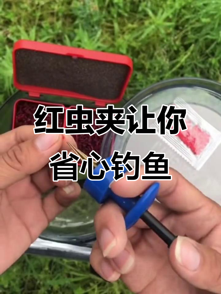 饵料挂红虫(红虫用上饵器挂会不会影响鱼口)