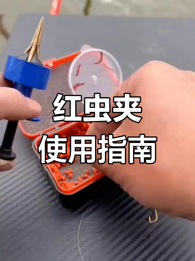 饵料挂红虫(红虫用上饵器挂会不会影响鱼口)