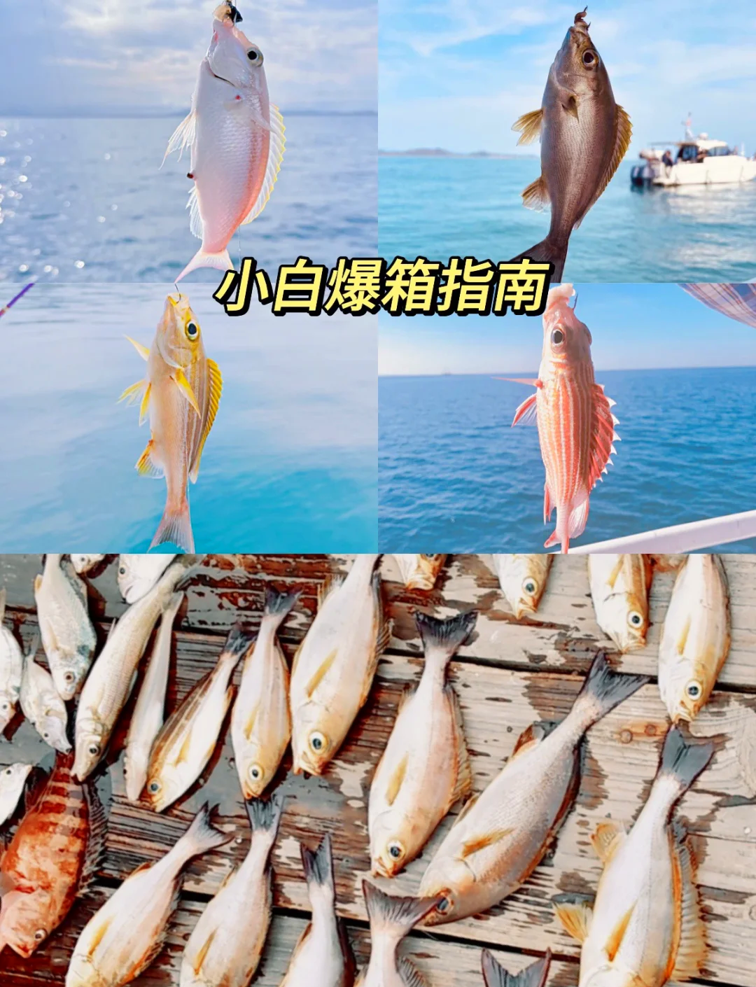 海钓准备什么东西(海钓准备什么东西比较好)