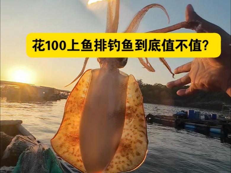 北海鱼排海钓(北海钓鱼视频)
