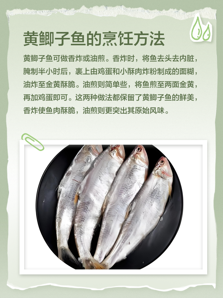 子鱼饵料配方(子鱼吃什么饲料)