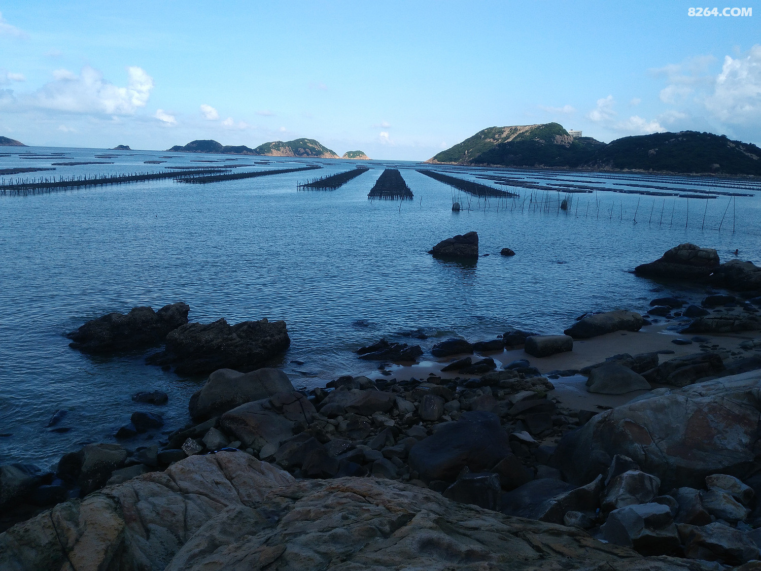 高栏岛海钓(高栏港野钓)