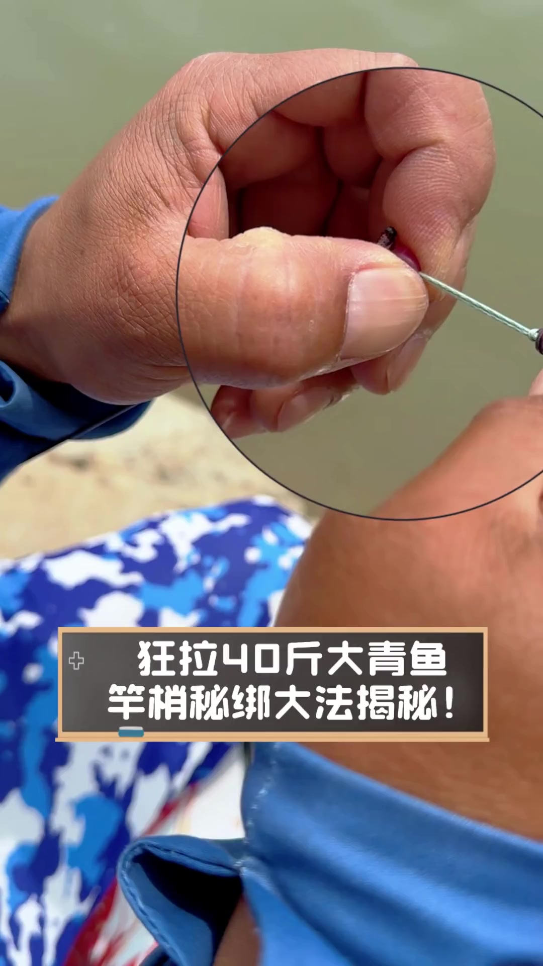 青鱼野钓钓法技巧(青鱼野钓钓法技巧视频)