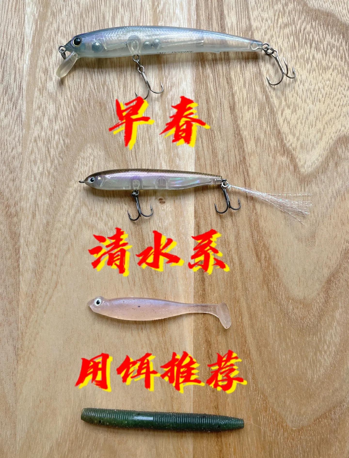 初春饵料使用技巧(初春用什么味型饵料)