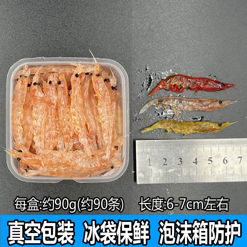 海钓南极虾怎么挂(南极虾钓淡水鱼)