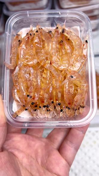 海钓南极虾怎么挂(南极虾钓淡水鱼)