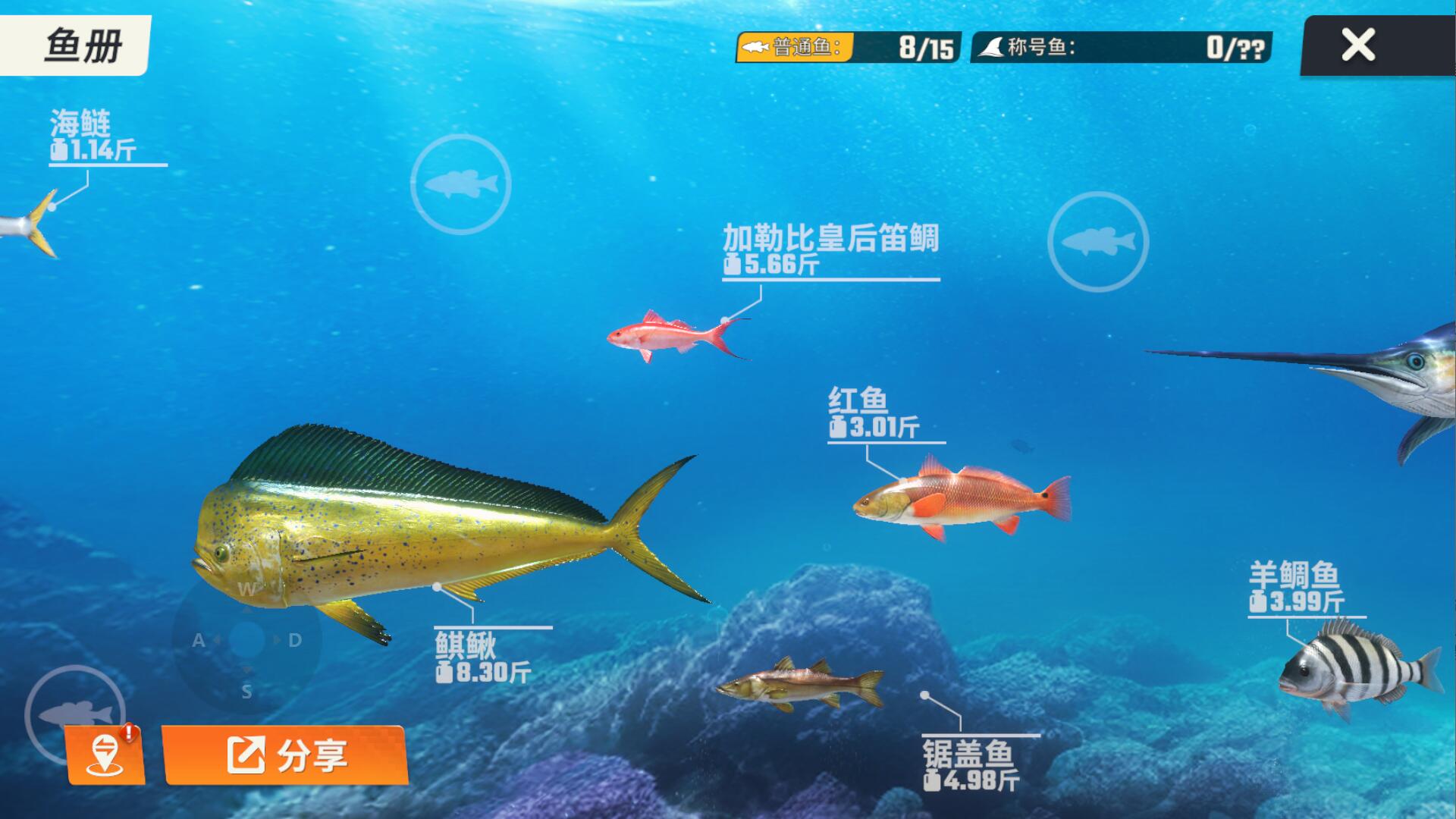海钓大师官网(海钓大师官网下载)