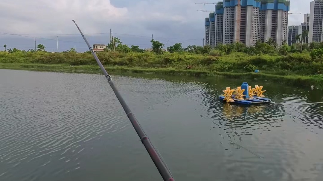 鲅鱼圈海钓路亚(鲅鱼圈野钓)