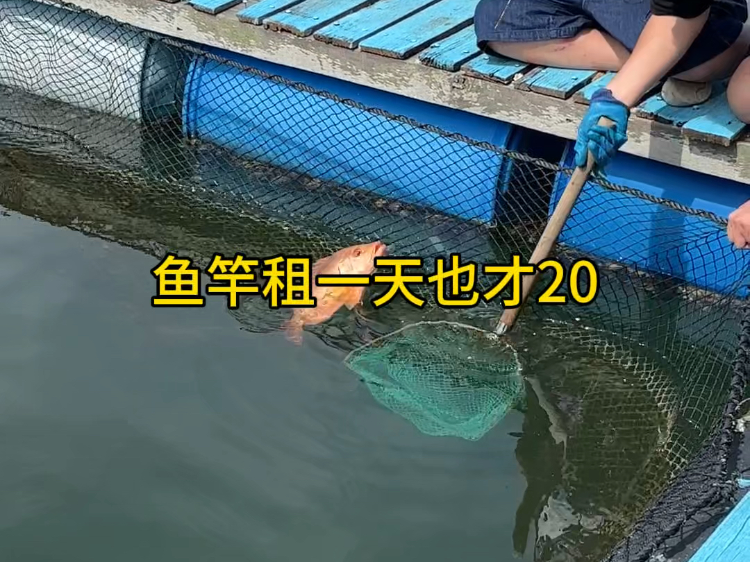 文昌哪里海钓(文昌出海钓鱼一日游)