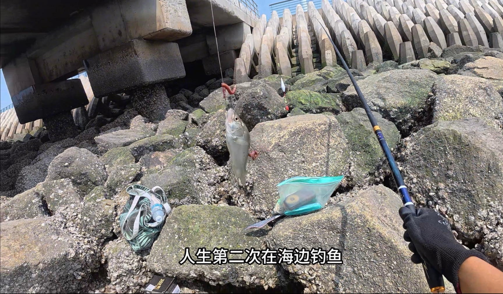 厦门海钓沉底钓鱼(厦门海钓沉底钓鱼怎么样)