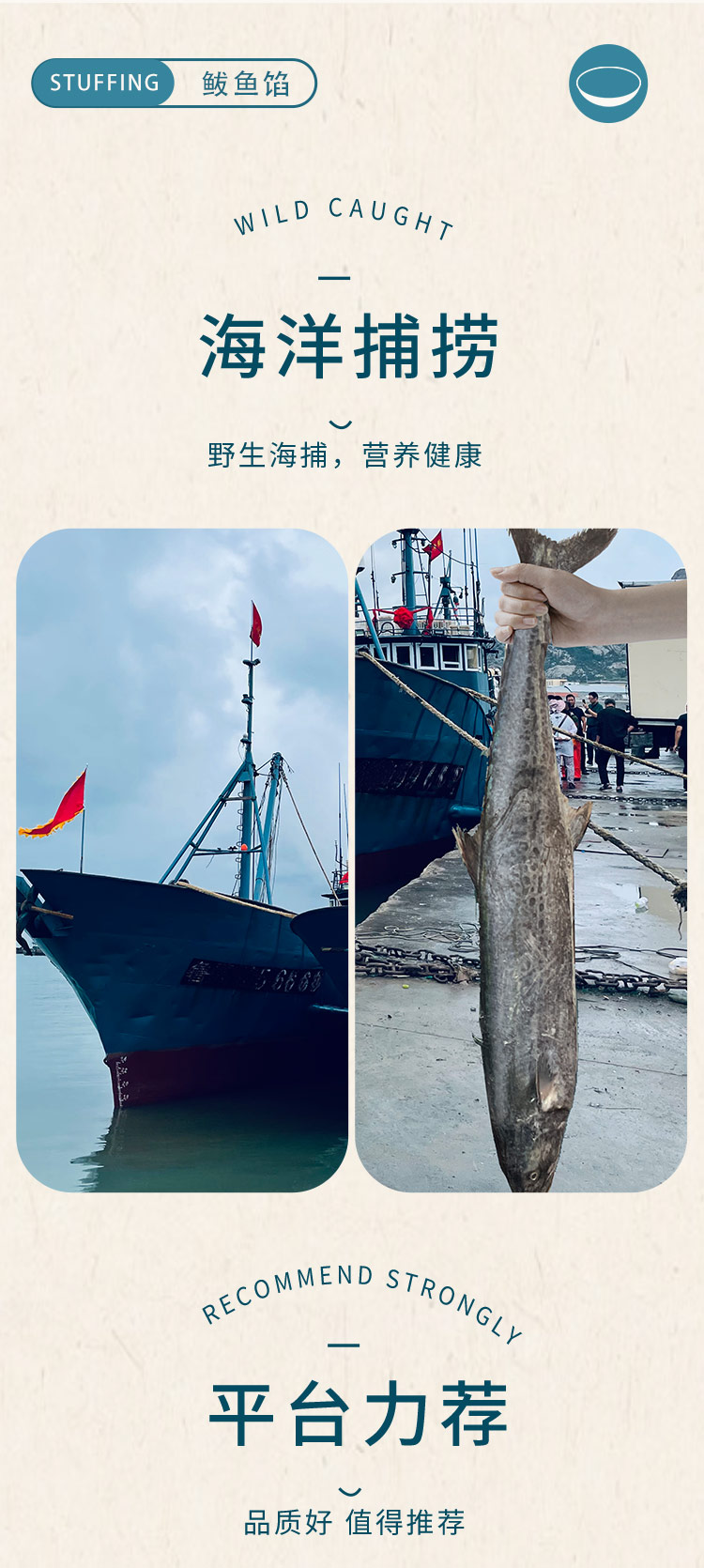 鲅鱼海钓时间(海钓鲅鱼钓多深)