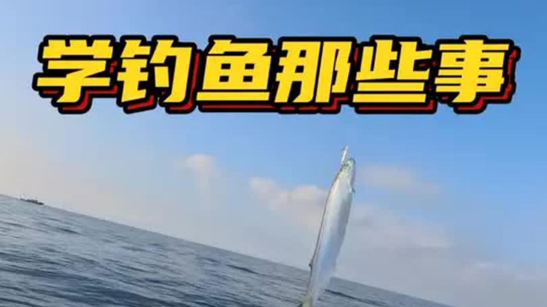 路亚鱿鱼技巧图(路亚钓鱿鱼用什么调)