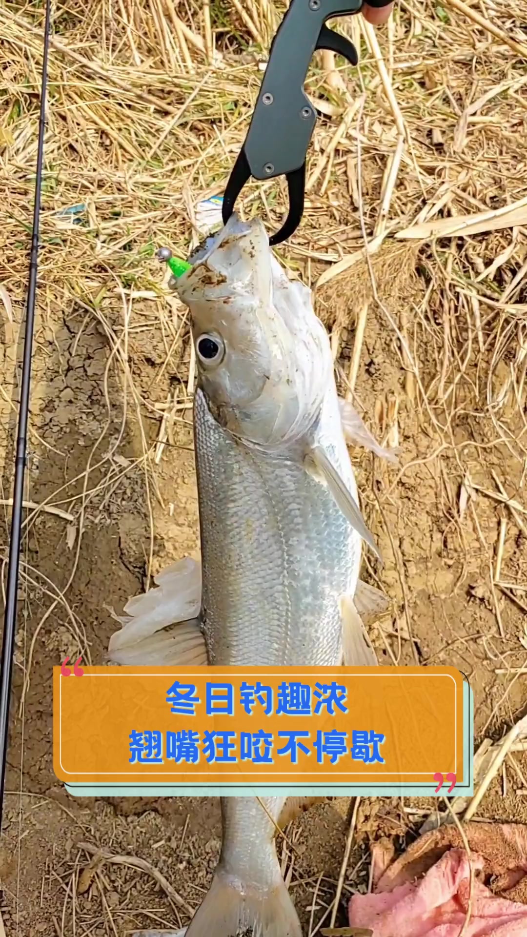 冬天猎翘技巧(冬季垂钓翘嘴技巧)