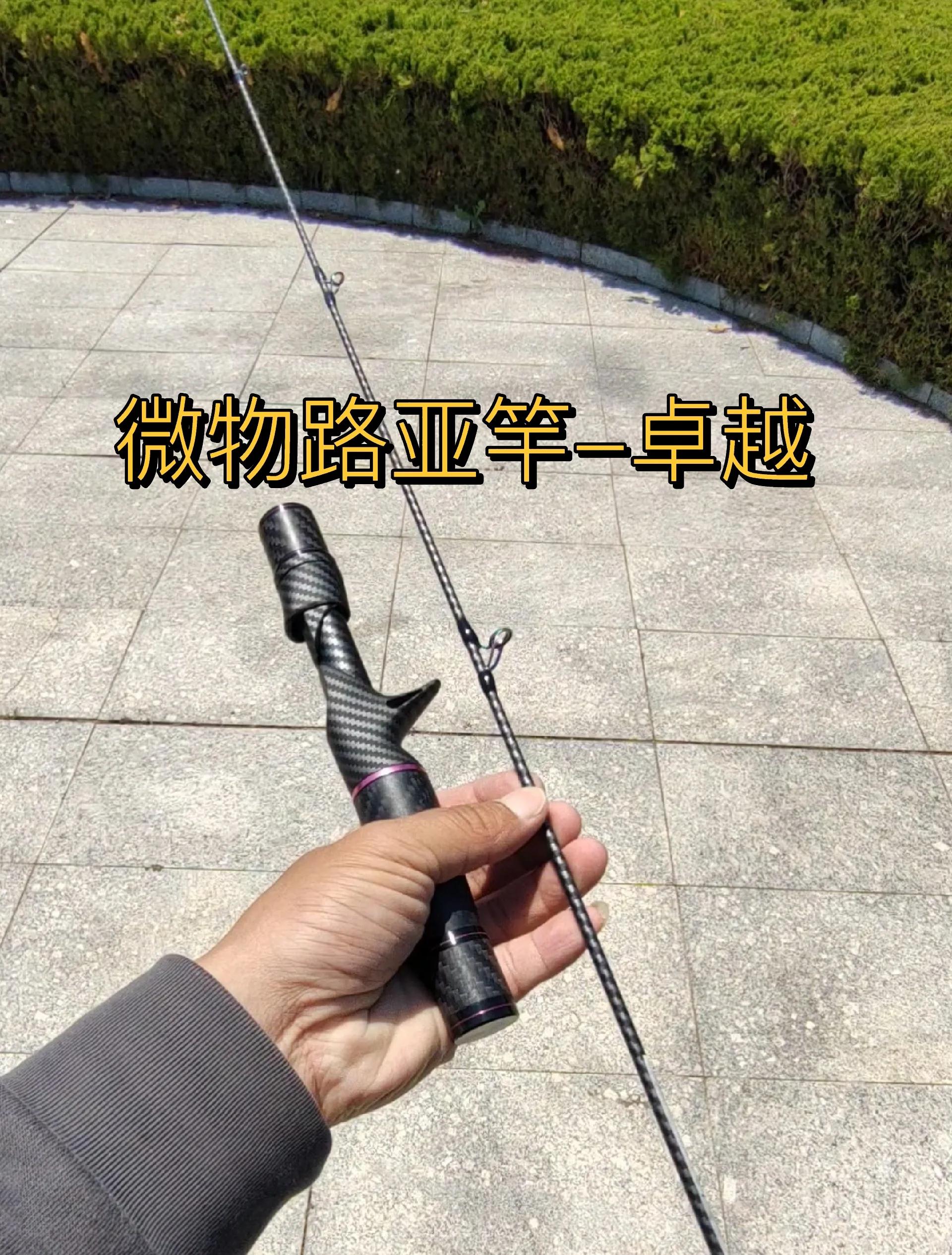 路亚操控有用(路亚控竿技巧)
