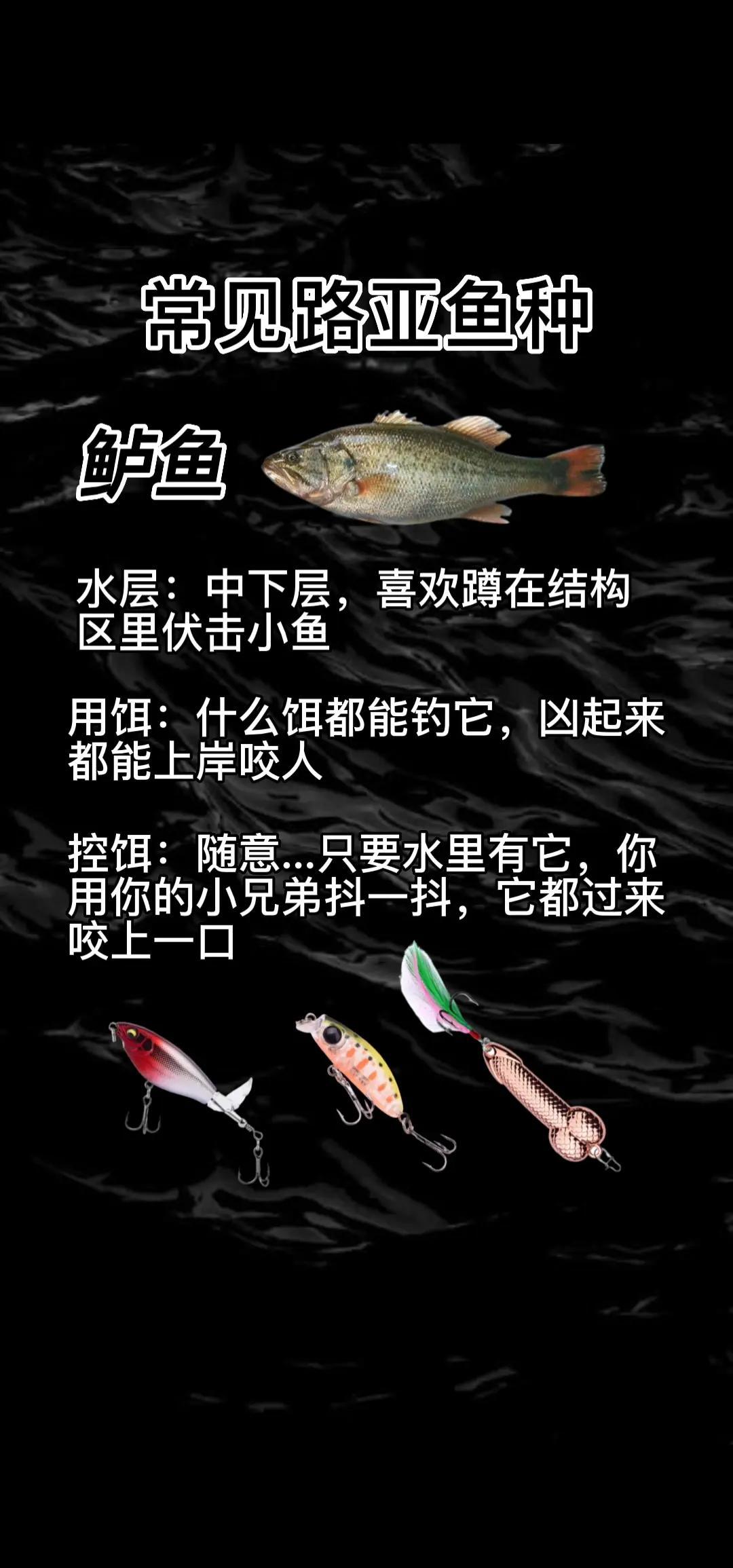 路亚渔线的选择(路亚鱼线号数怎么选)