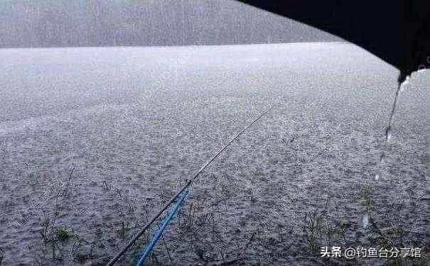 春雨后阴天钓鱼技巧(春天雨后阴天好钓鱼吗)