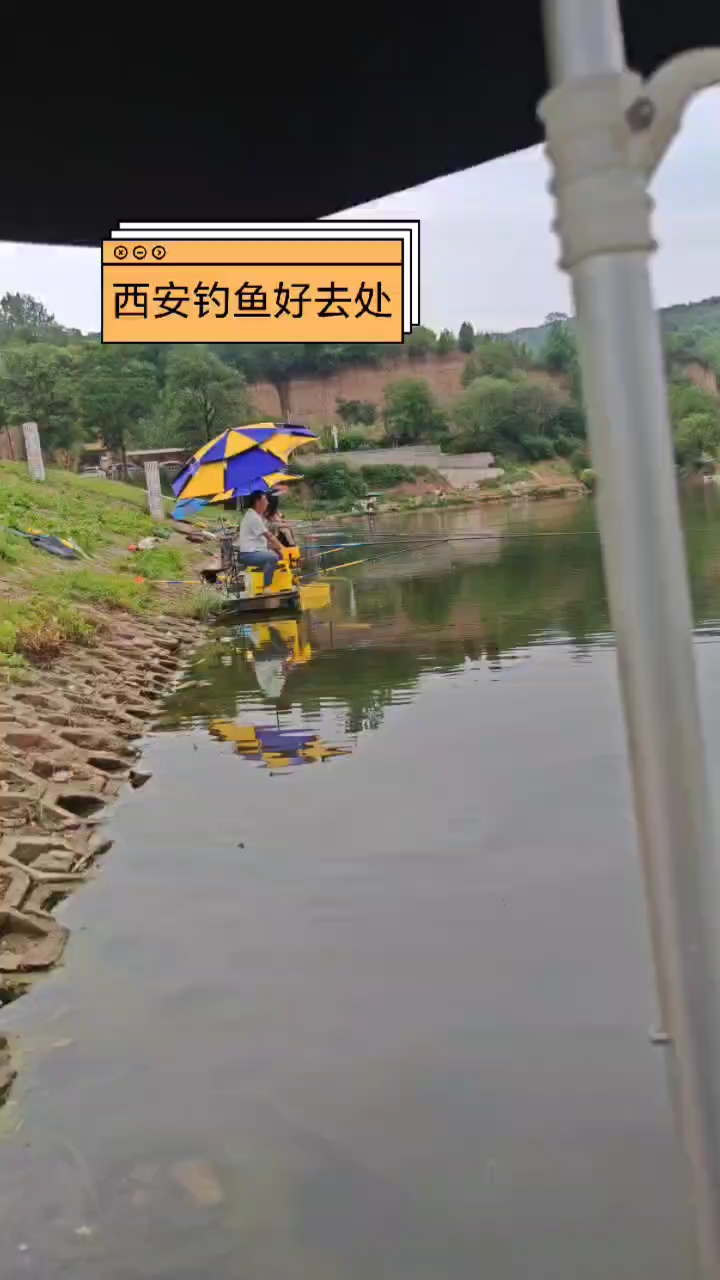 西安哪里有最大渔具(西安最大的鱼市)