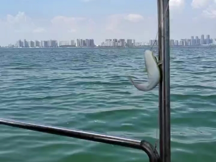 北海海钓场(北海海钓基地)
