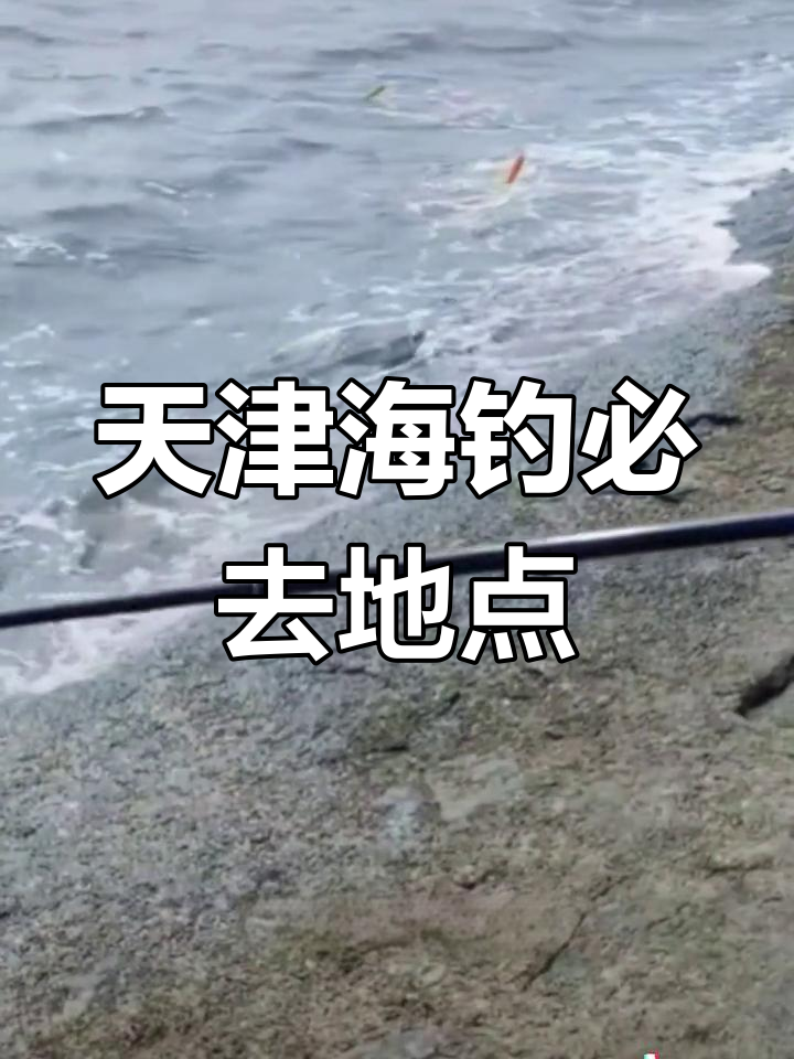 潍坊海钓地点(潍坊野钓地点)