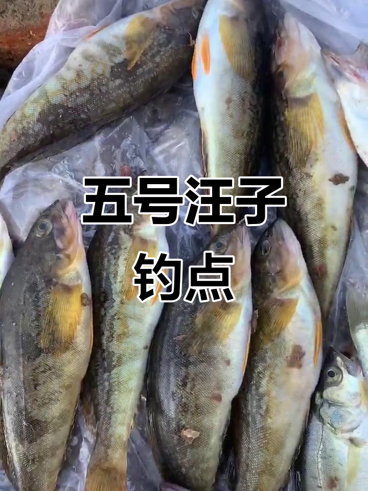 天津海钓好去处(天津海边钓鱼)