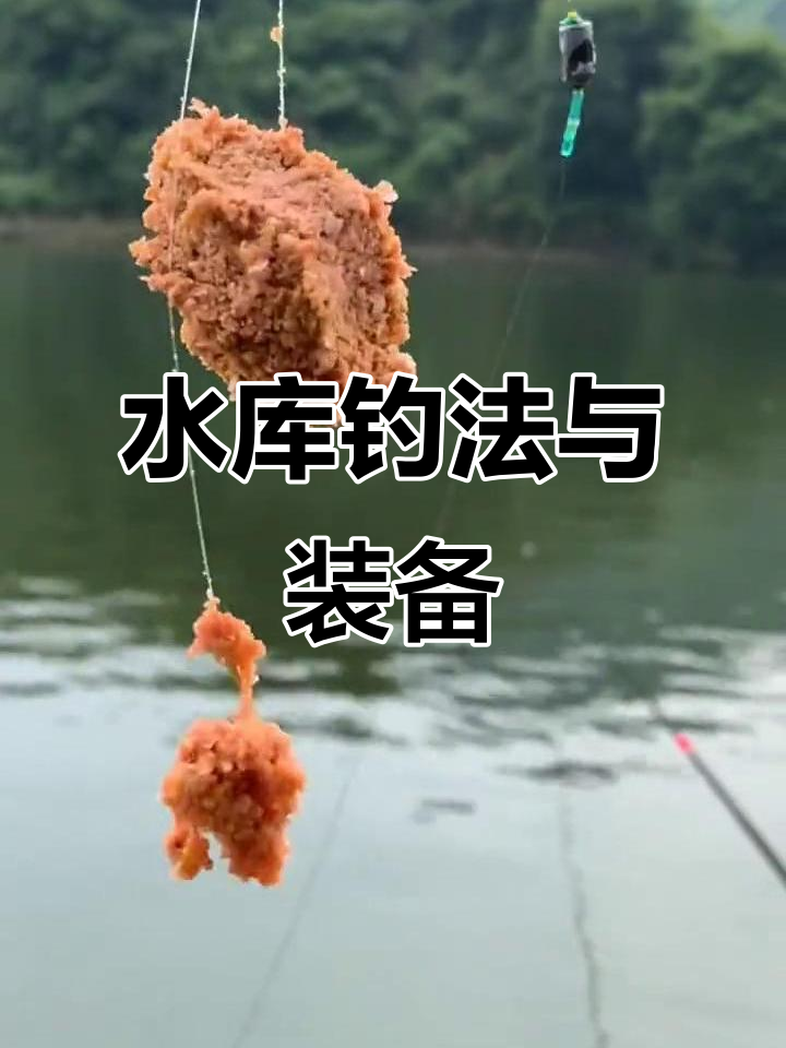 洞山水库钓鱼技巧(洞山源水库)