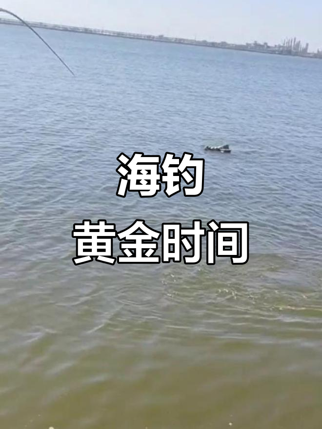 天津海钓联盟(天津海钓视频大全集)