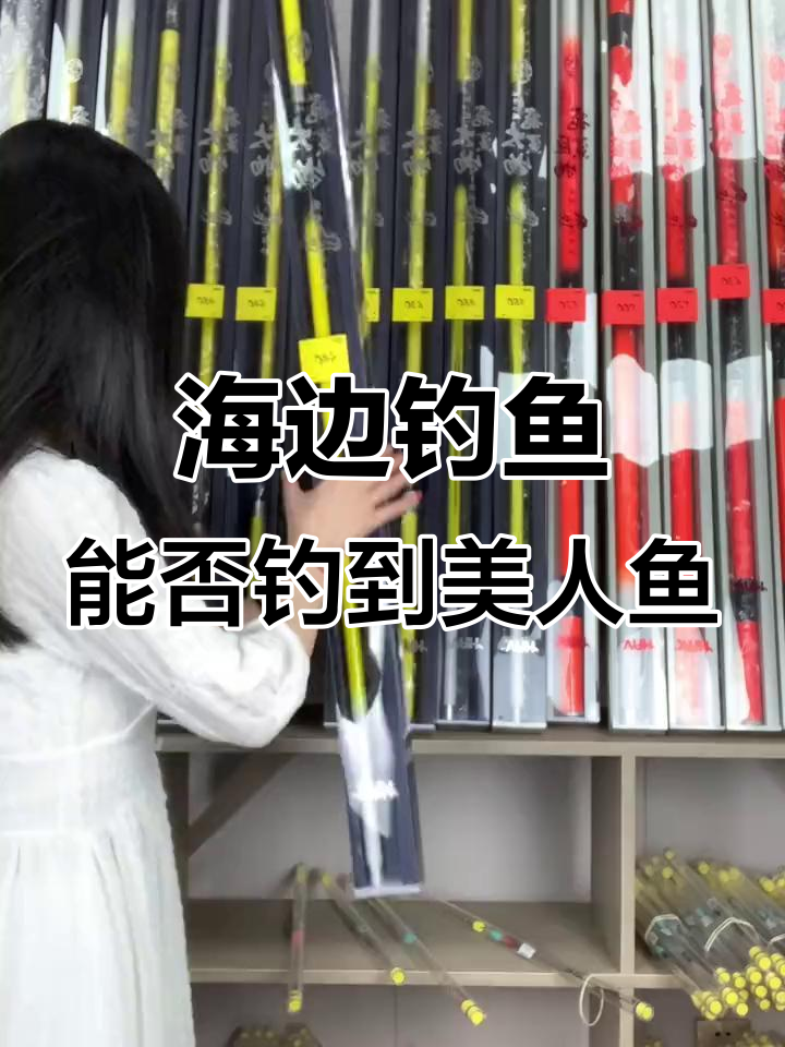 海边夜钓鱼技巧(海边夜钓什么时候上鱼最佳时间)