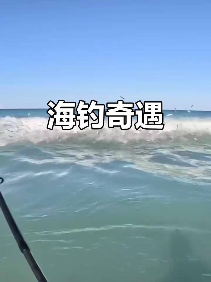 南通海钓鲻鱼(南通哪里可以钓鲻鱼)
