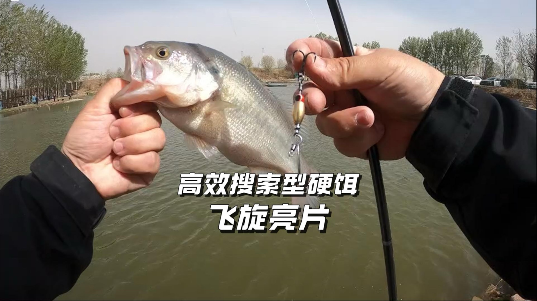 路亚亮片飞机(路亚亮片是什么原理)