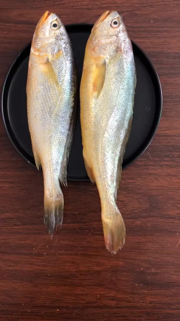 海钓最重的黄鱼(海边钓的黄鱼)