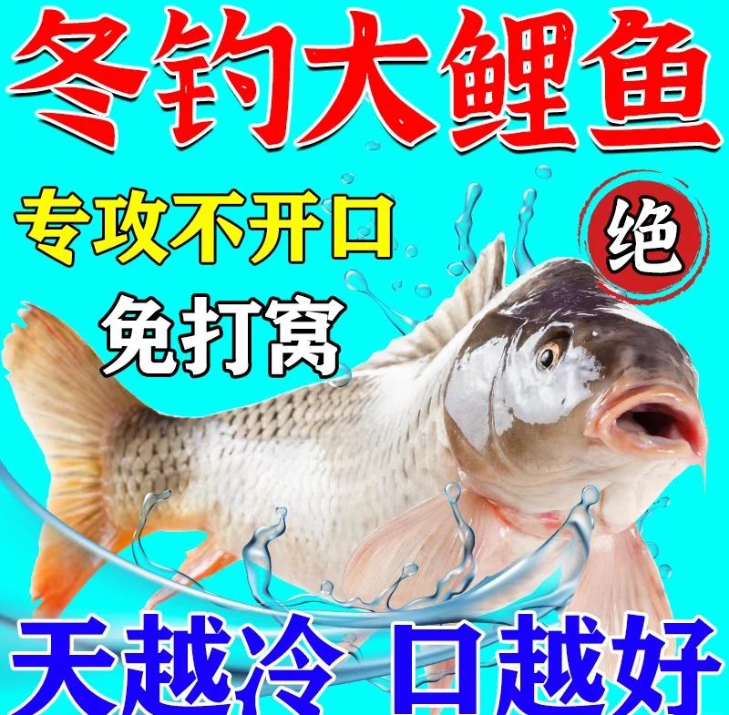 冬天钓鲤鱼爆炸饵料(冬天钓鲤鱼爆炸钩饵料)